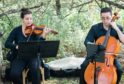 The Sound Of The Day