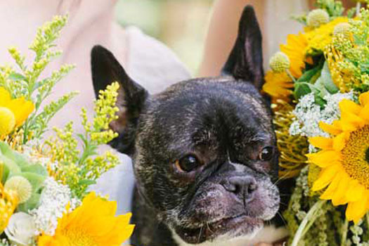 REAL LOCAL WEDDING: RACHEL & KAITLYN
